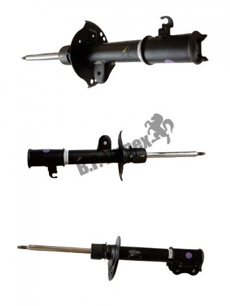 STRUT BODY ASSEMBLY LH